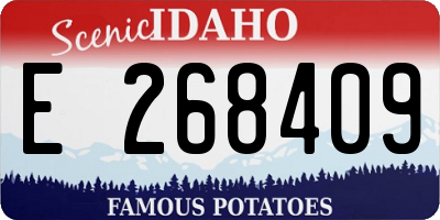 ID license plate E268409
