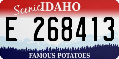 ID license plate E268413