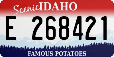 ID license plate E268421