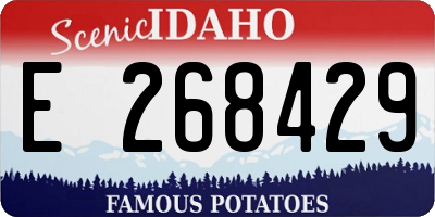 ID license plate E268429