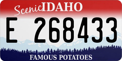 ID license plate E268433