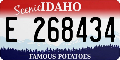 ID license plate E268434