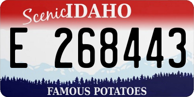 ID license plate E268443