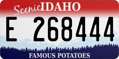 ID license plate E268444