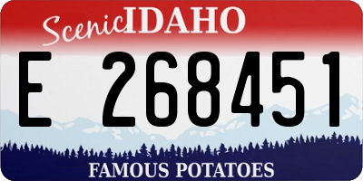 ID license plate E268451