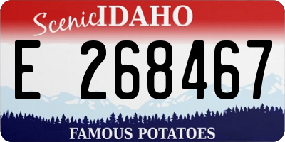 ID license plate E268467