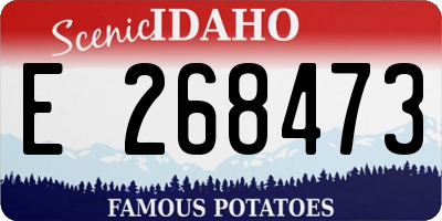 ID license plate E268473