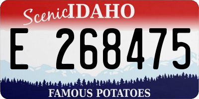 ID license plate E268475