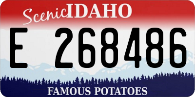 ID license plate E268486