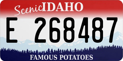 ID license plate E268487