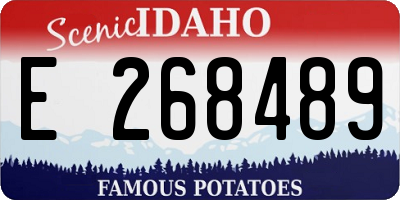 ID license plate E268489