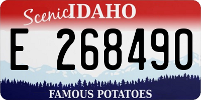 ID license plate E268490