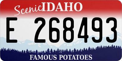 ID license plate E268493