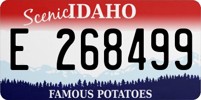 ID license plate E268499
