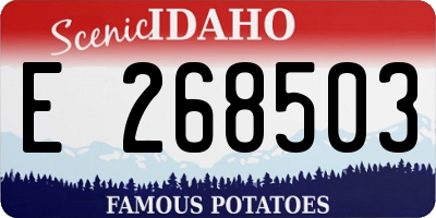 ID license plate E268503