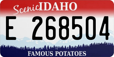 ID license plate E268504
