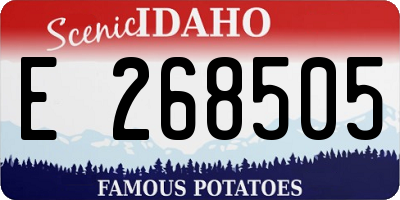 ID license plate E268505