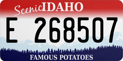 ID license plate E268507
