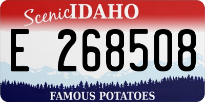 ID license plate E268508