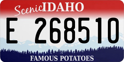 ID license plate E268510