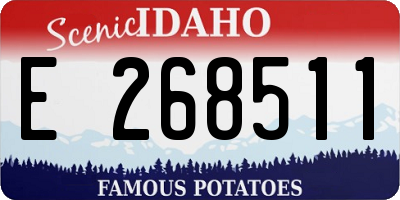 ID license plate E268511