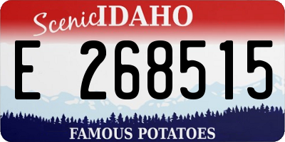 ID license plate E268515