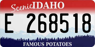 ID license plate E268518