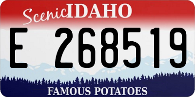 ID license plate E268519