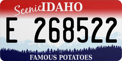 ID license plate E268522