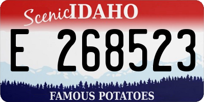 ID license plate E268523