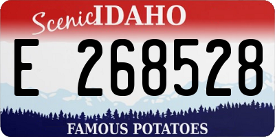 ID license plate E268528
