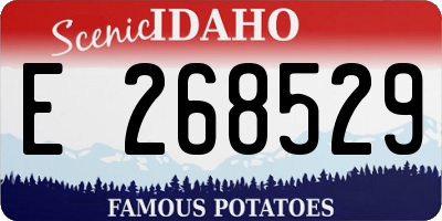 ID license plate E268529