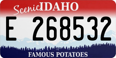 ID license plate E268532