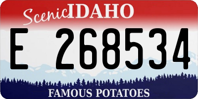 ID license plate E268534
