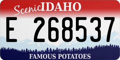 ID license plate E268537