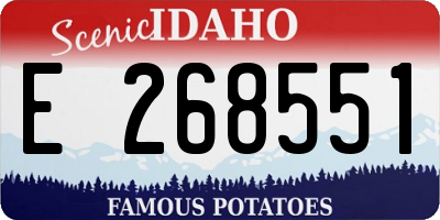 ID license plate E268551