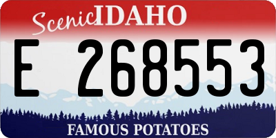 ID license plate E268553