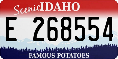 ID license plate E268554