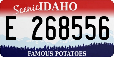 ID license plate E268556
