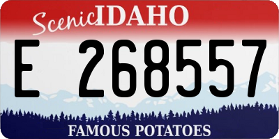 ID license plate E268557