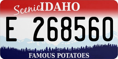ID license plate E268560