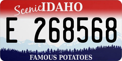 ID license plate E268568