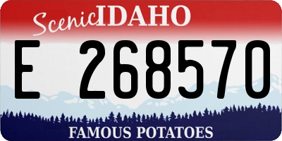 ID license plate E268570
