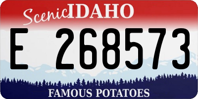 ID license plate E268573