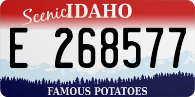 ID license plate E268577