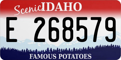 ID license plate E268579