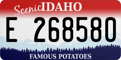 ID license plate E268580