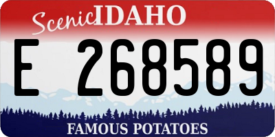 ID license plate E268589