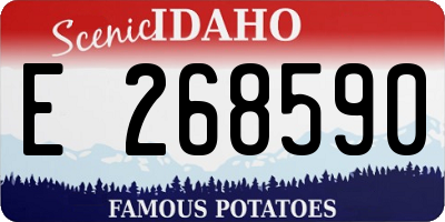 ID license plate E268590