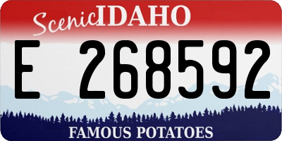 ID license plate E268592